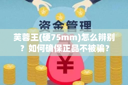 芙蓉王(硬75mm)怎么辨别？如何确保正品不被骗？